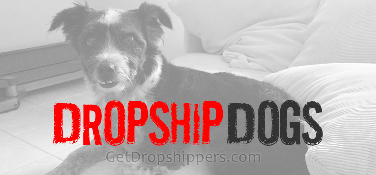 Pet Dog Product Suppliers