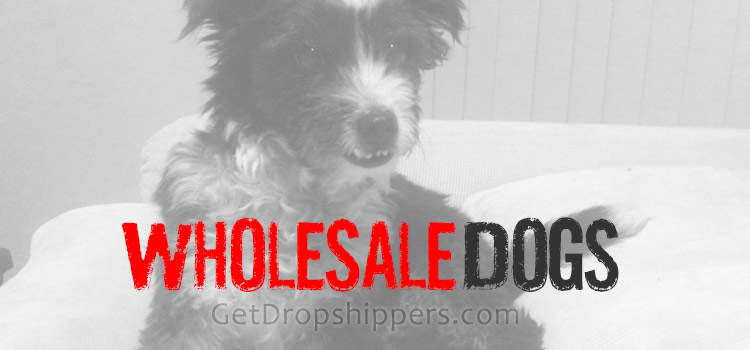 Wholesale Dog Supplies