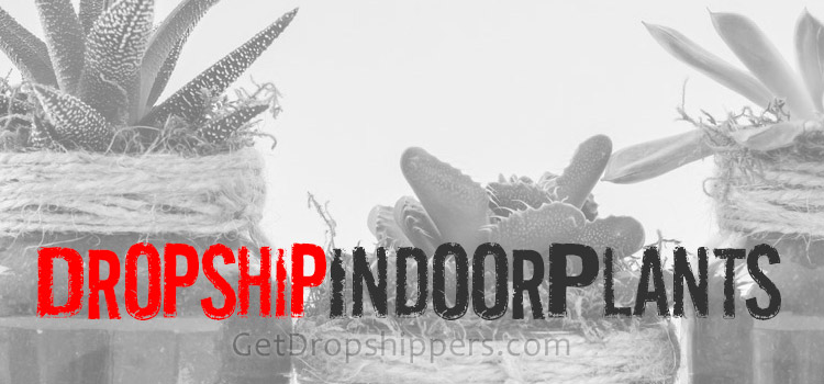 indoor plant dropshippers