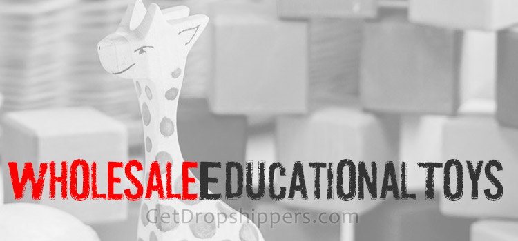 Educational toys Wholesalers