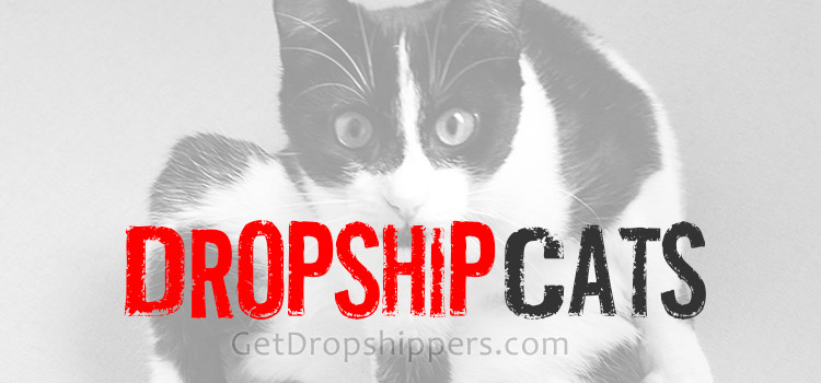 Pet Cat Dropshippers