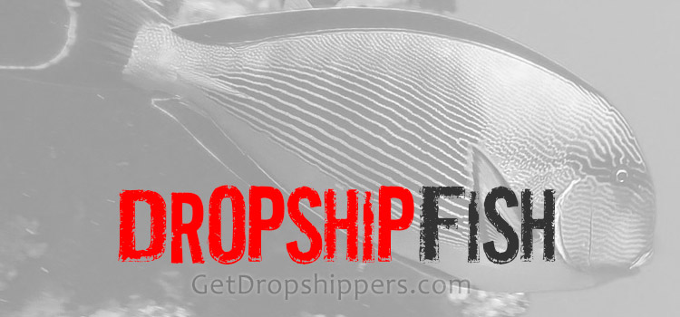 fish dropshippers