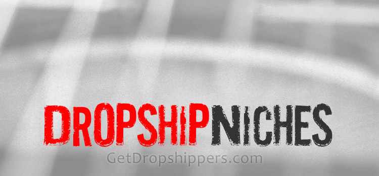 Dropship Niches and Interests