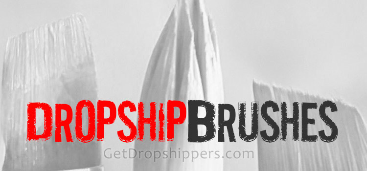 Dropship Paint Brushes